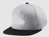 Casquettes de baseball formelles unisexes BD Suppliers personnalisées, brodées en 3D, imperméables, 100 % polyester, quatre saisons, argent, 56-58 cm, courantes