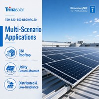 Module solaire Trina Solar N-Type Con double vitrage 620-650W 132 cellules demi-coupées pour projets commerciaux sur toits et installations au sol