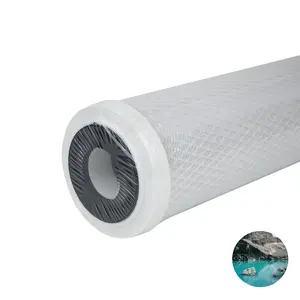 High quality brands 20" activated carbon block CTO Water Filter featuring Lead suitable for hydrogen rich water generator bottle