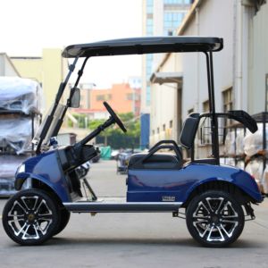 Flota de campos de golf Vehículo eléctrico UTV Sightseeing Mini Car 2 Seat para la venta Buggy HDK EVOLUTION Carrito de golf eléctrico - Product Image 4