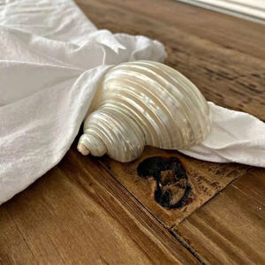 Anneaux de serviette en coquillage avec accents de conques, pour les dîners, anneau de serviette en coquillage pour la décoration de table, porte-serviettes en coquillage, mariage - Product Image 4