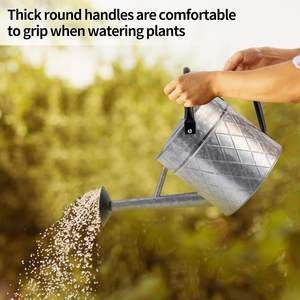 Arrosoir à la mode Unique Arrosoir personnalisé Arrosoir floral personnalisé Parfait pour le jardinage élégant pour balcon intérieur - Product Image 5