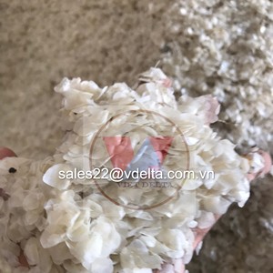เกล็ดปลาจากเวียดนาม Mr. Kevin + 84 968311314 - Product Image 4