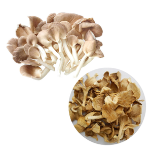 Hongo ostra seco de la mejor calidad Pleurotus ostreatus de Vietnam - Product Image 2