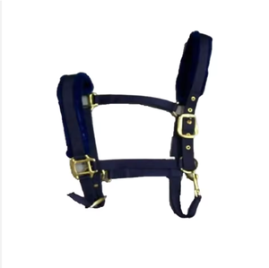 Ensemble de licol pour cheval en nylon et PP de style occidental, toutes tailles, avec rembourrage en fourrure, équipement équestre, logo personnalisé MH Global Exports MH-HL-28 - Product Image 3