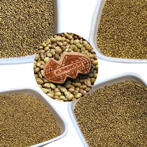 Berseul Clover | ใช้กันทั่วไปในการผสมอาหารสัตว์ - Product Image 1