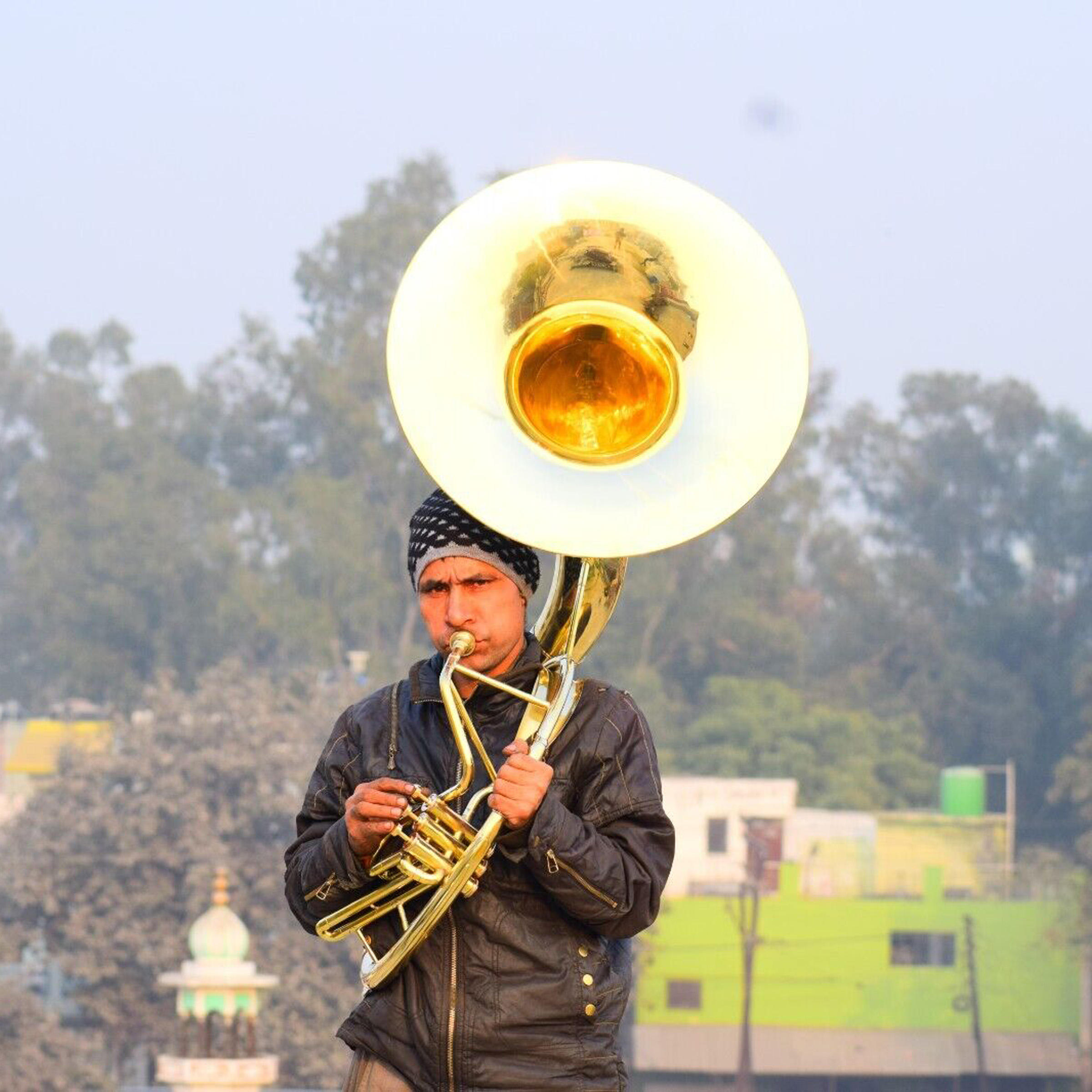 ตามที่แสดง