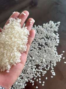 Linda Premium grano redondo Calrose Japonica arroz 3% roto 25kg 50kg bolsas de PP cumple con los requisitos del comprador - Product Image 6