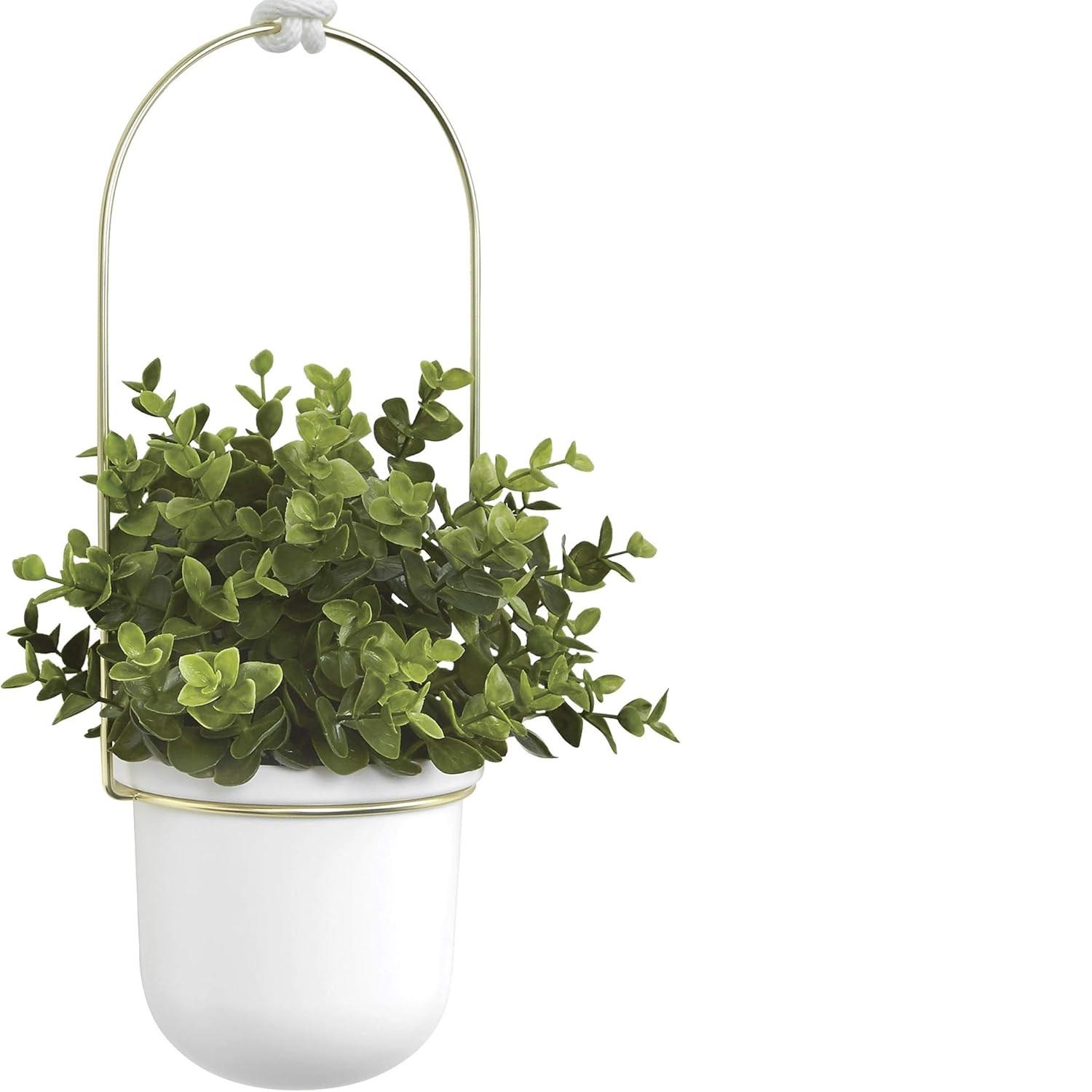 ตามที่แสดง