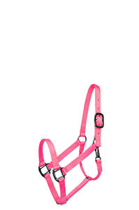 Halters réglables équestres extérieurs professionnels de haute qualité personnalisation multicolore bride de cheval acceptée - Product Image 4