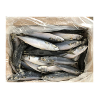 Pasokan Grosir Ikan Chub Mackerel Beku Harga Murah Kualitas Terbaik Rendah Gula Bebas Lemak Trans Kemasan Vakum Utuh