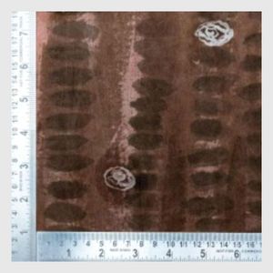 KVR Tissu teint en mousseline de haute qualité 100% Techniques et matériaux de style de conception personnalisables IND - Product Image 2