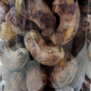 Nueces de Anacardo al por Mayor W180 Orgánicas Tostadas con Sal 100% Naturales de África con Fabricación OEM/ODM Disponible - Product Image 2