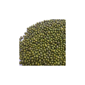 Venta al por mayor de calidad Premium Green Mung Beans - Product Image 4