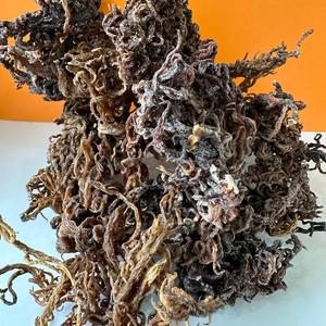 Laut ungu kering organik lumut Eucheuma Cottonii Gracilaria obral besar Harga terbaik untuk kesehatan, makanan, penggunaan kosmetik/ANNA DO