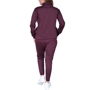 Survêtement de jogging d'hiver pour homme, personnalisé, haut de gamme, avec fermeture éclair intégrale, en polaire, motif uni, logo imprimé, taille XXL, 2026 - Product Image 2