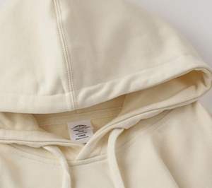 Sweats à capuche d'hiver chauds vente en gros de sweats en molleton de coton épais 350GSM avec broderie personnalisée fournisseur de marque privée - Product Image 1