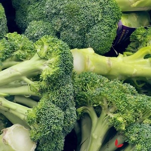 Brócoli fresco a la venta Verduras verdes de alta calidad a precio barato Suministro directo de la granja con entrega rápida - Product Image 1