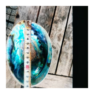 Coquille d'ormeau naturelle du Vietnam, pierre précieuse polie, bijoux d'inspiration océanique, fournitures de bricolage et décoration côtière créative - Product Image 3