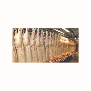 Nutritif 24 Mois Top Carcasses de Volaille Rôtie Vente Viande de porc congelée Fournisseur Origine Traitement du porc CONGELÉ DANS UNE CARCASSE COUPÉE À 4 VOIES - Product Image 6