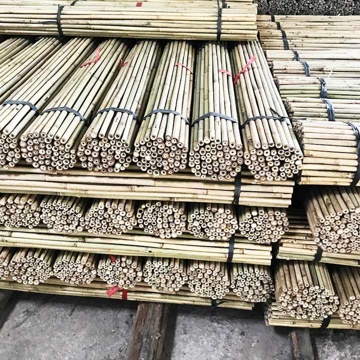 Wholesale bamboo poles for construction & building materials High