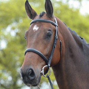 Brida snaffle - Product Image 6