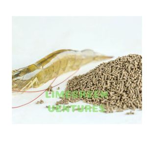 Alimento para camarones Alto en proteínas Alimento para camarones orgánicos Exportadores y proveedores a granel en todo el mundo - Product Image 3