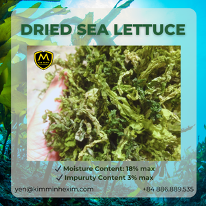 Lechuga de Mar Seca Premium de Origen Vietnamita (Ulva Lactuca) - A Granel, Alta Calidad, Mejor Precio - Product Image 5