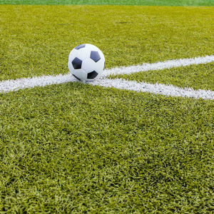 A bassa manutenzione eco-friendly durevole erba artificiale per <span class=keywords><strong>campo</strong></span> da calcio a prova di tutte le intemperie non è necessaria l'irrigazione PP + PE materiale 5 - Product Image 1