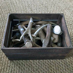 Cuernos de Ciervo Rojo de Primera Calidad a Precio Económico para Venta al por Mayor/ Cuernos de Ciervo en VENTA - Product Image 5