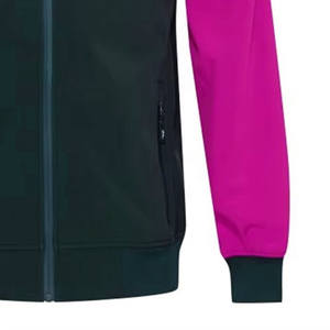 Vente chaude à la mode imperméable chaud hiver Softshell veste tissu de haute qualité à manches longues lumière randonnée veste - Product Image 6