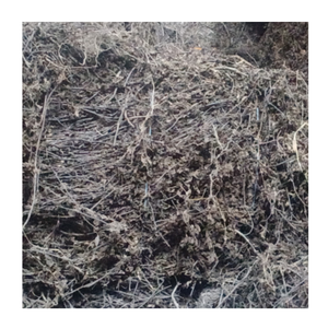 Feuilles de gelée d'herbe noire Fournisseur en gros du Vietnam, Meilleur prix pour l'exportation en vrac - Product Image 5