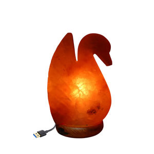 <b>USB</b> Refined Himalayan Salt <b>Lamp</b> Rock Crystal Night Light with Wooden Base Bulk Packaging for Relaxation and Air Purifying - Product Image 4