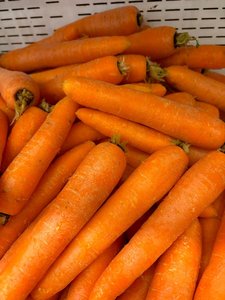 แครอทสดออร์แกนิกขาย - Product Image 4