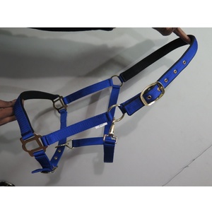 Meilleures ventes Arabian Nylon Horse Halter Fabricant Concevez votre propre cheval Nylon Halter pour chevaux Produits de marque privée - Product Image 2