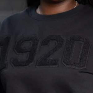 Sudadera All Black 1920 con algodón suave y letras de chenilla para miembros de la Hermandad Ropa griega unisex con estilo - Product Image 3