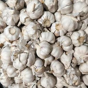 Entrega rápida disponible directo de fábrica 100% ajo blanco fresco orgánico natural verduras Liliáceas puras 25kg 24 meses - Product Image 3