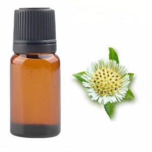 Bhringraj น้ำมันมะพร้าวน้ำมันสำหรับปลูกผมพร้อมบริการผลิตจากผู้ผลิตอินเดีย - Product Image 2