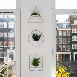 Set of 3 Gold Wall Hanging Metal <b>Plant</b> <b>Stand</b> with White Pot Herb Garden Containers for Outdoor Decoration Kitchen & Living Room - Product Image 5