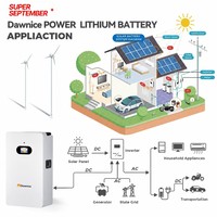 Batterie solaire au lithium LiFePO4 Dawnice 48V 300Ah 200 100, pack de batteries 10kWh 15V 4 pour stockage d'énergie domestique