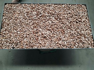 Machine de torréfaction automatique de noix de cajou de la capacité 90% 50Kg/batch Nouvelle condition Machine de traitement de noix de cajou fabriquée au Vietnam - Product Image 6