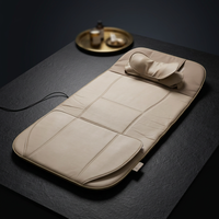 Tapis d'étirement Premium Goodfit GT S8 II pour la relaxation musculaire du corps entier, soulagement de la douleur, utilisation à domicile, portable, rechargeable par USB, lithium