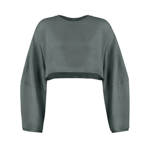 Top corto deportivo para mujer, camisetas sueltas, ropa deportiva de manga larga, ropa de entrenamiento, fitness, primavera y otoño - Product Image 4