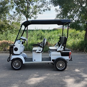 Nuevo diseño Mini coche eléctrico Nueva energía de baja velocidad Coche pequeño con precio bajo Hecho en China - Product Image 2