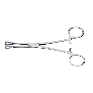 Pince de serrage allemande en acier inoxydable, Non fendue (extrémité fermée), pince de serrage de haute qualité, langue, nez du ventre - Product Image 5