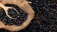 Poudre de haricots noirs NutriBlend, style séché, pour boissons et desserts sains, poudre de haricots noirs riche en nutriments