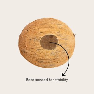 Tazones de Cáscara de Coco Cruda de 150 ml |   Tazones de Coco Ecológicos |   Tazón de Comedor Hecho a Mano Natural |   Vajilla Sostenible al por Mayor - Product Image 4