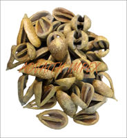 Putka Pods Pot Naturel Potpourri Sacs pour La Décoration De La Maison Décoration De Mariage Fleurs Artificielles Amazon Meilleur Vendeur