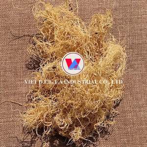 SUSTAINABLY SOURCED <b>DRIED</b> BLACK <b>MOSS</b> FOR PLANT BASED DIETS AND CLEAN LABEL HEALTH PRODUCTS - Product Image 4