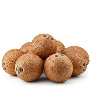 Noix de coco fraîches pour acheteurs internationaux Semi décortiquées et naturelles disponibles pour la distribution au détail et la production d'huile - Product Image 2